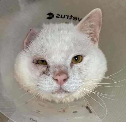 Second Chances Change Everything