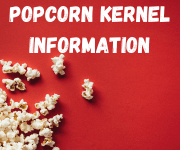 Popcorn Kernel 