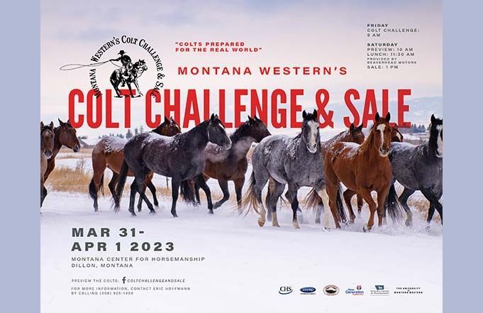 UMW and MCH to Host Annual Colt Challenge and Sale