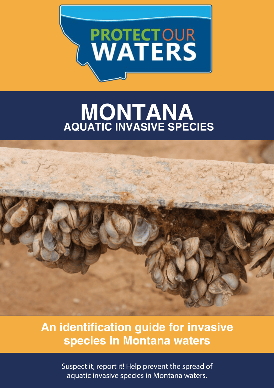 AIS Animal Pocket Guides