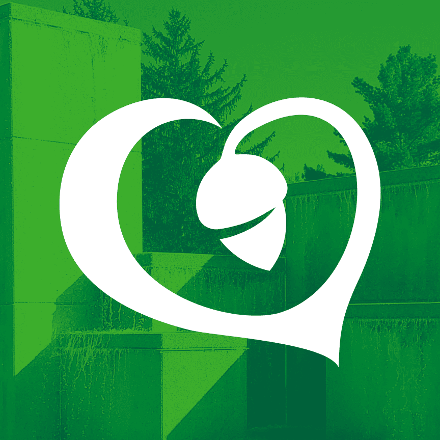 Mahoney Park Inclusive Playspace – Lincoln Parks Foundation