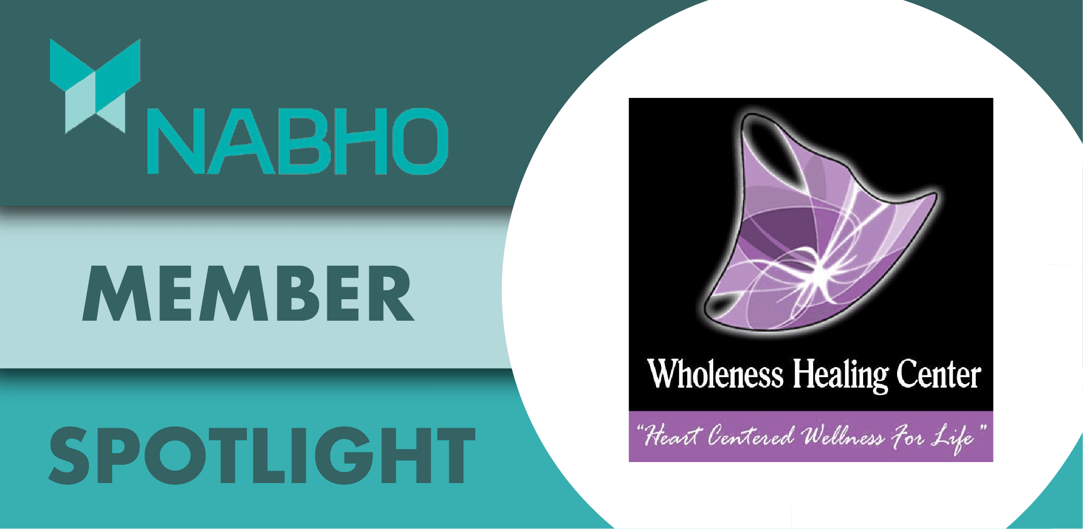 NABHO Member Spotlight - Wholeness Healing Center logo.