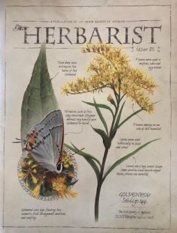 The Herbarist 2017