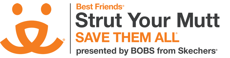 Best Friends' Strutt Your Mutt