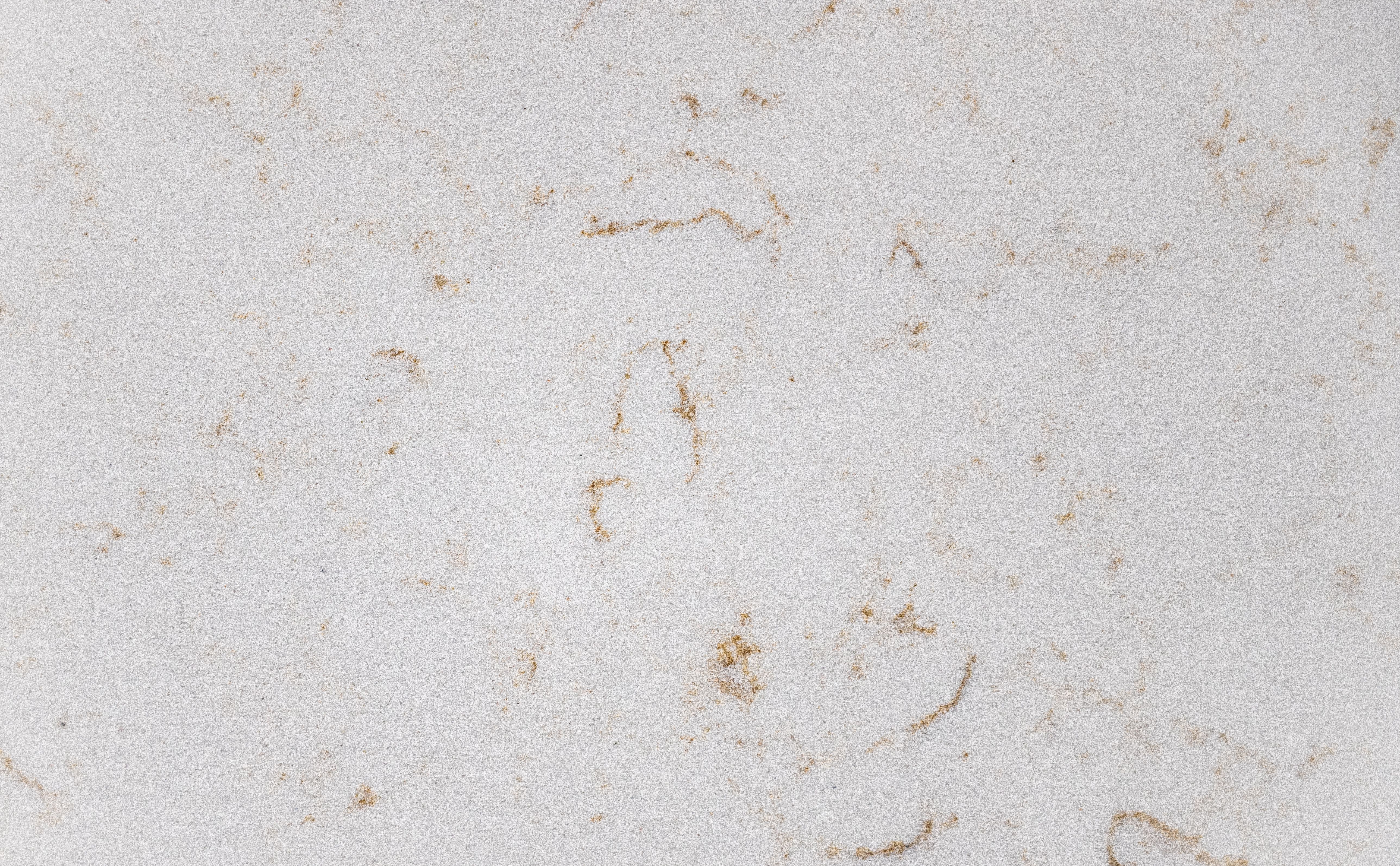 Carrara Gold