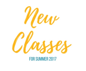 New, New and More New!
