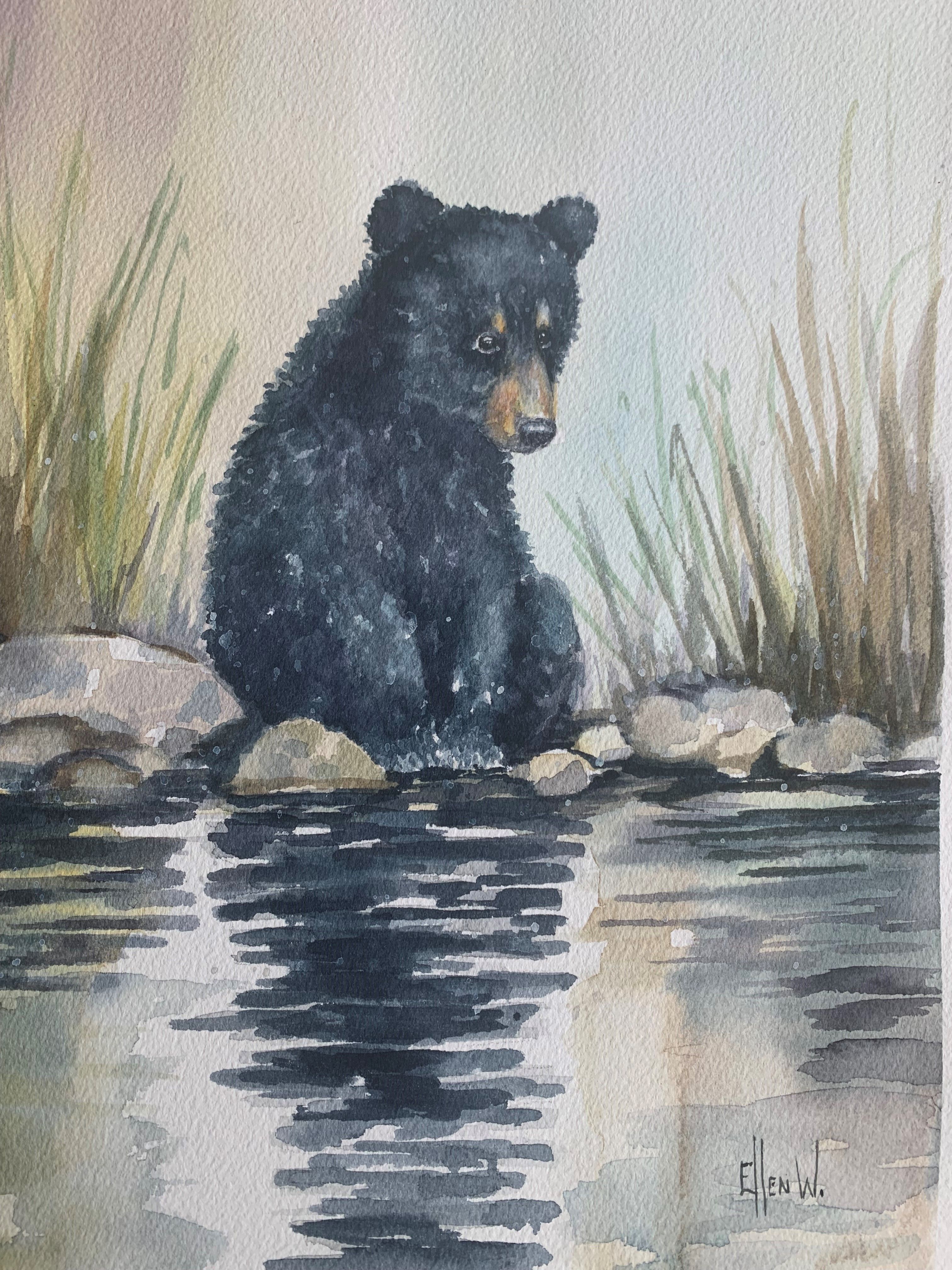 A bear cub is sitting beside a pond looking at its reflection in the water. Small rocks are scattered in the pond edge with various water reeds growing in the background.