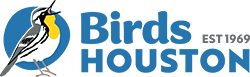Birds Houston