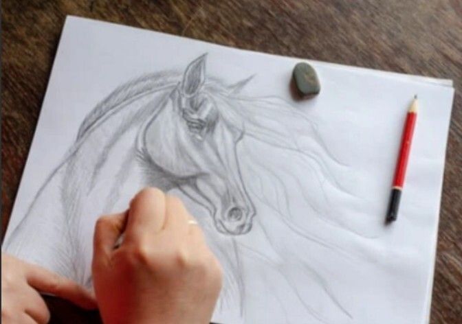 Art Camp for Tweens! 