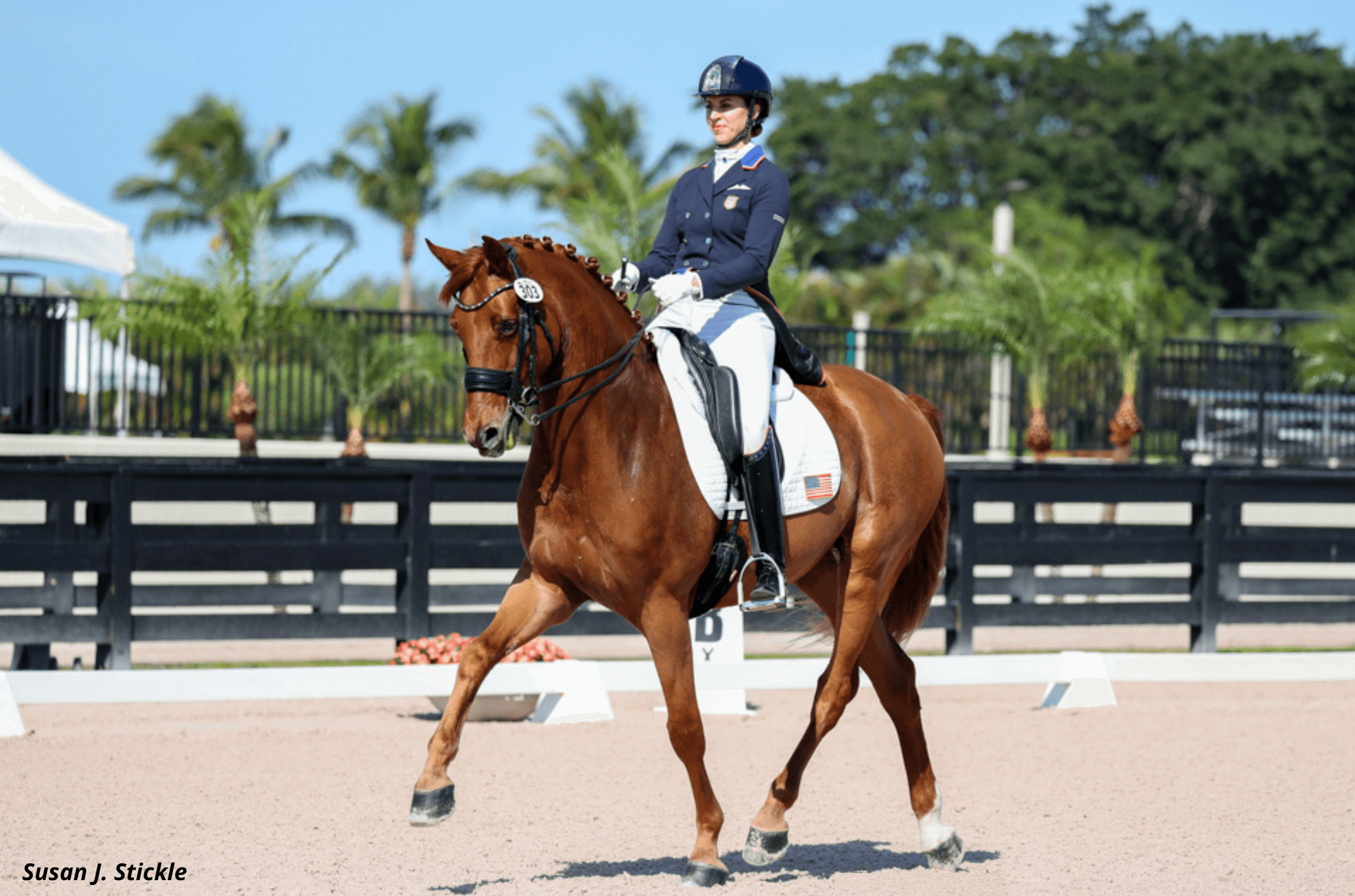What are Your Dressage Dreams?