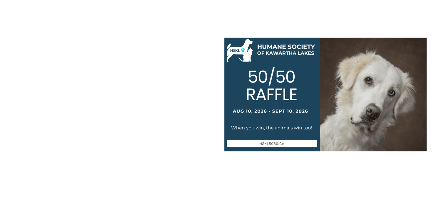 Online 50/50 Raffle