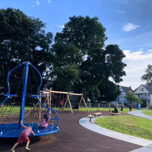 Trees of Life for Cleveland: a Tree Care Workshop