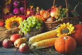 Please become a sponsor for our fall festival!