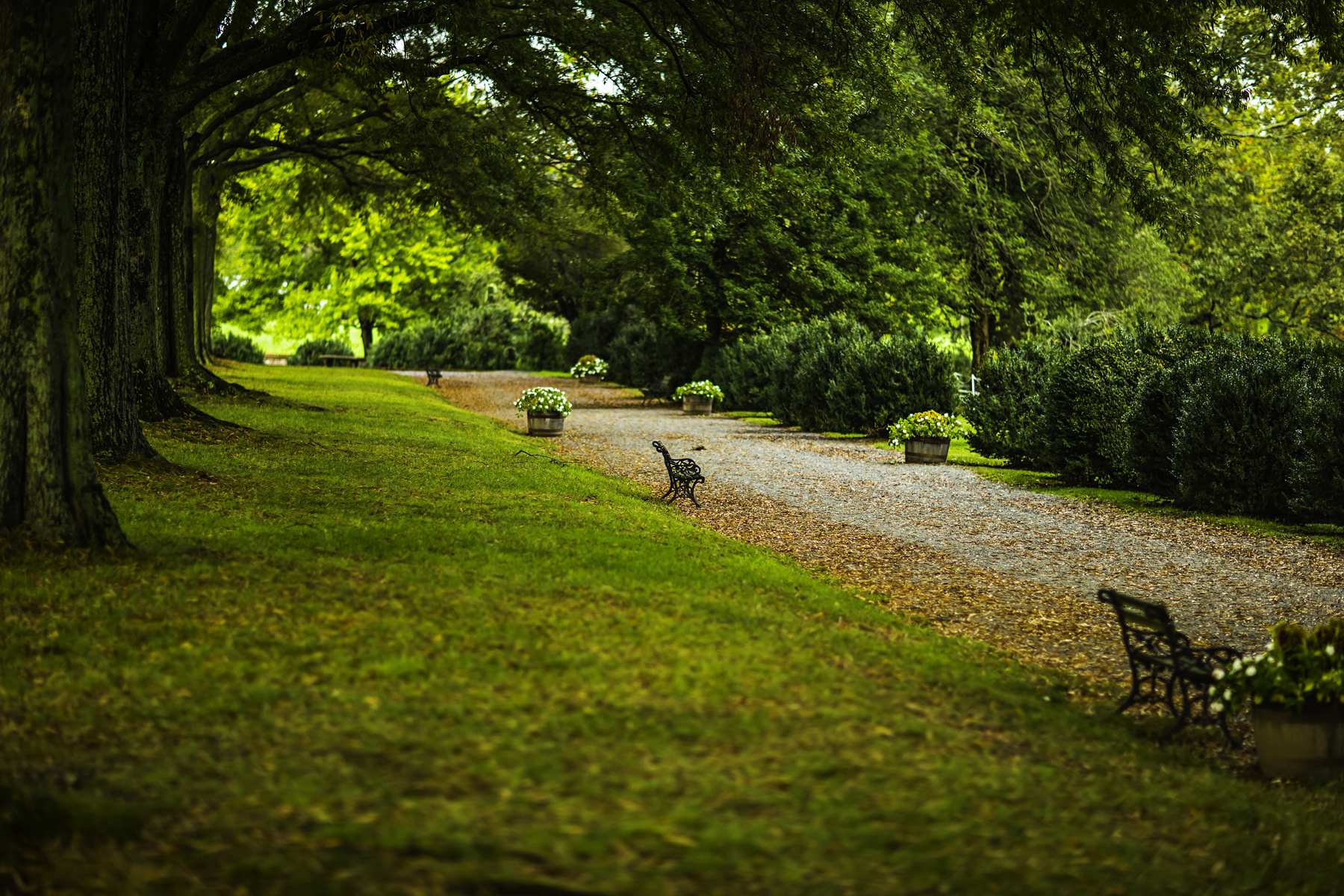 Give the gift of a named flower bed along the garden path in the Formal Gardens!