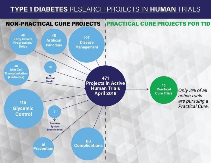 An Overview of All Active T1D Human Trials