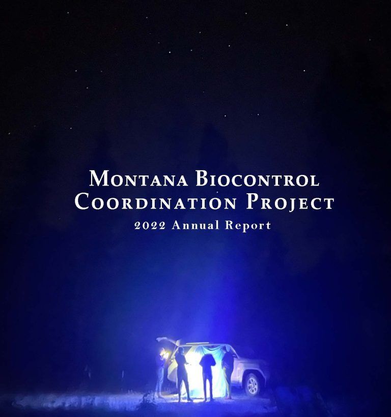 2022 Annual Report