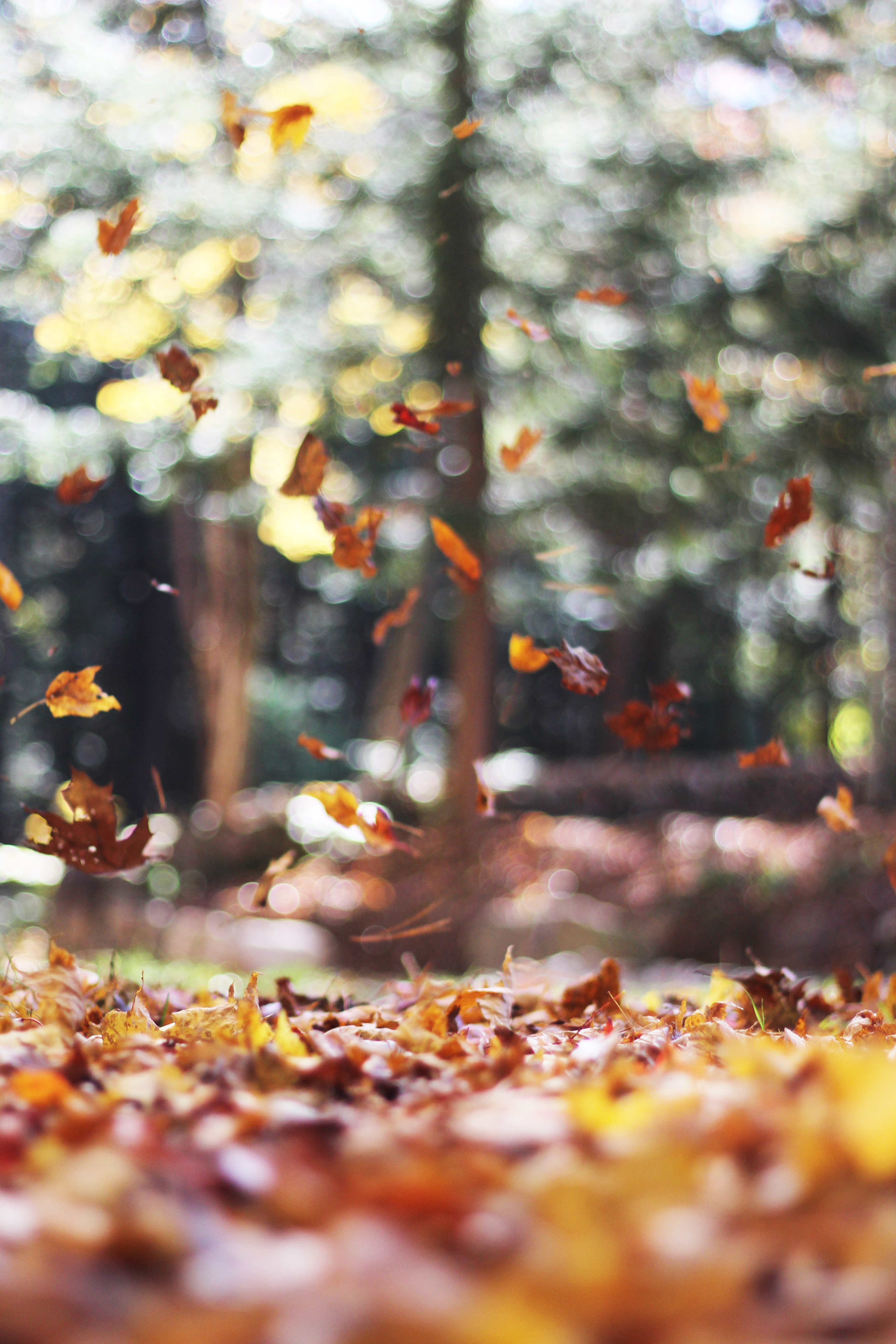 Acts of Kindness You Can Do This Fall