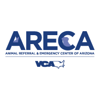 ARECA VCA Logo