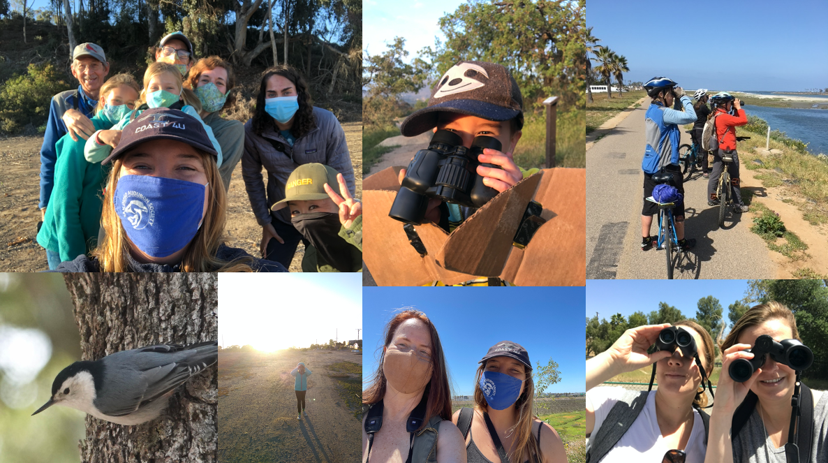 Photo credits in clockwise order: Megan Flaherty, Kelsey Wadman, Jen Hajj, Andrew Meyer, Holly McMillan.