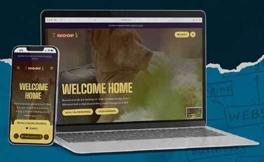 An Inside Look at Firespring’s Nonprofit Websites