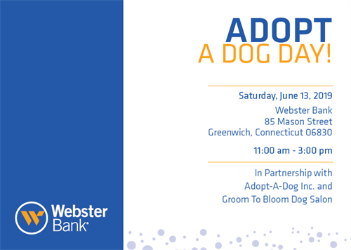 Webster Bank Adoption Day