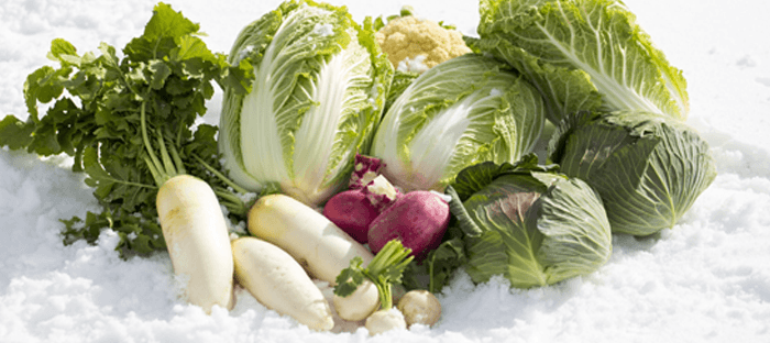 Winter CSA Sign up now!
