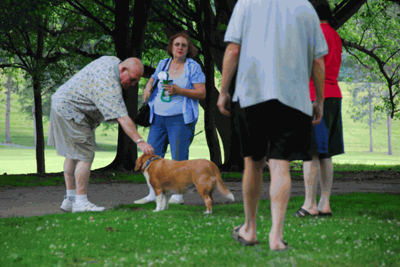 Man petting dog in group