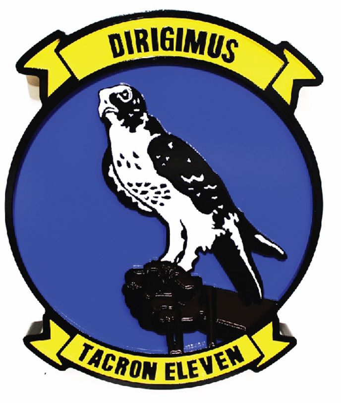 JP-1667 - Caved Plaque of the  US Navy Tacron Eleven Crest, -2.5-D Artist-Painted, with Eagle as Artwork