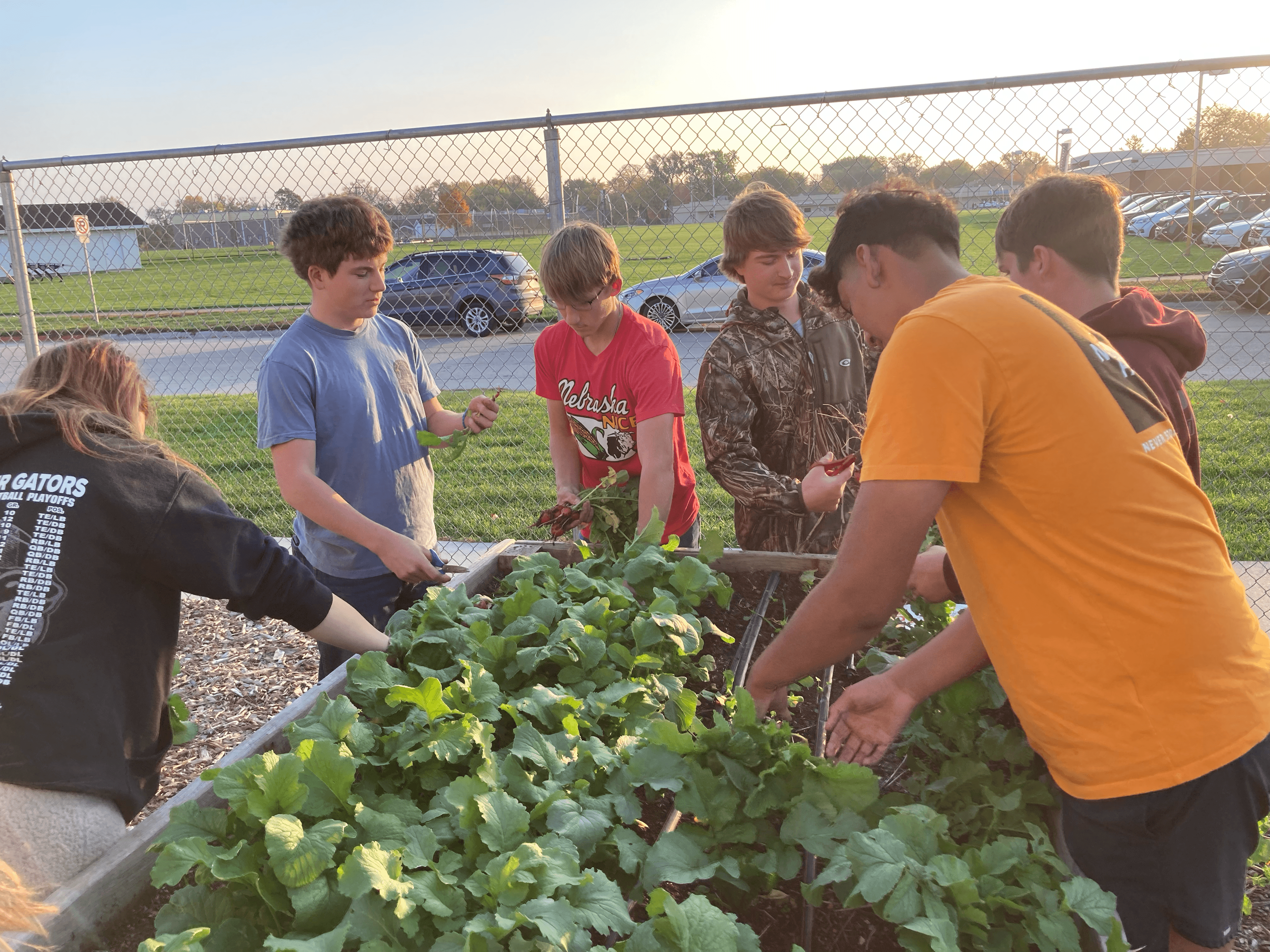 Growing Green with Norfolk FFA