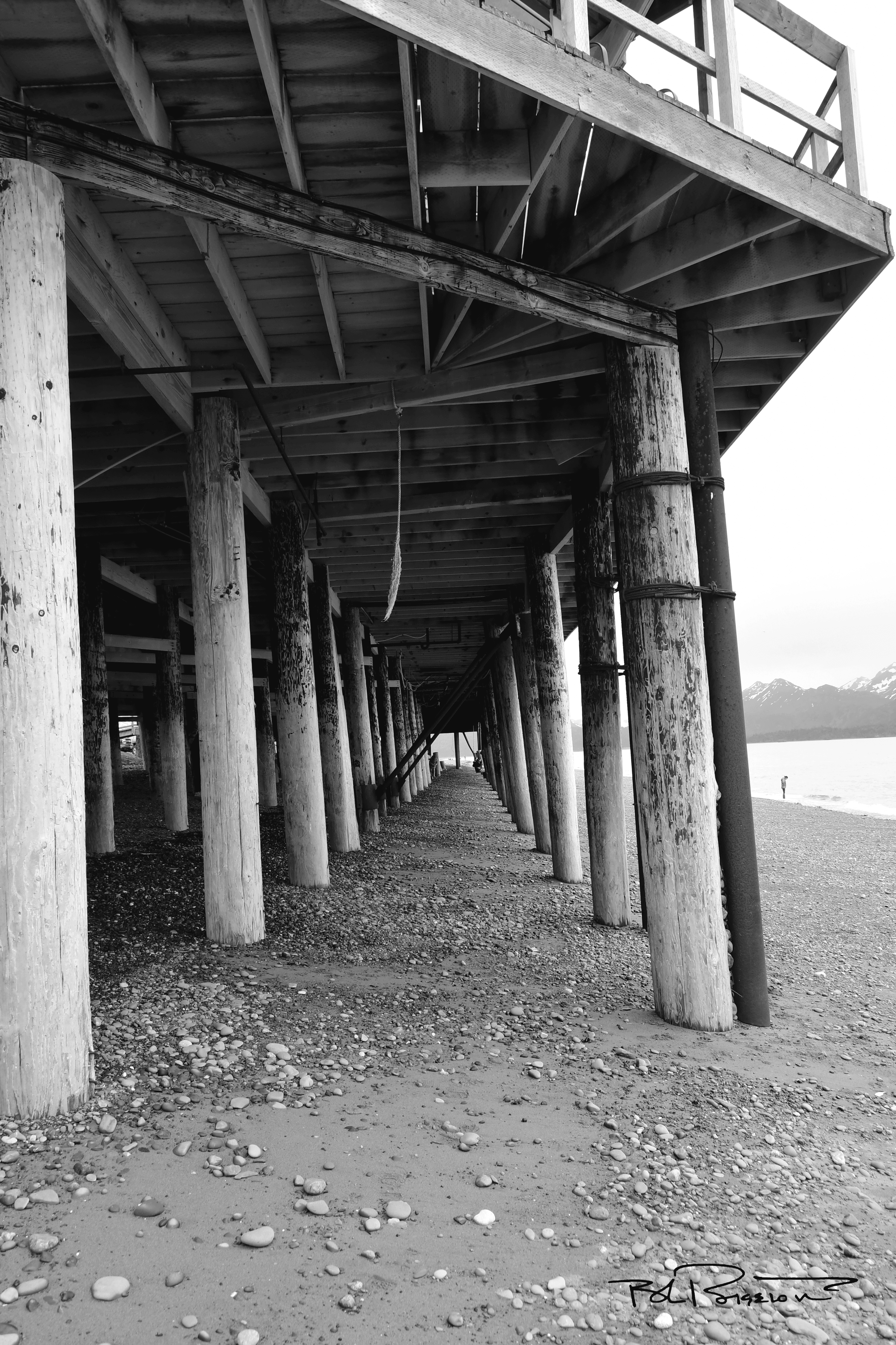 Homer Spit Building Pilings