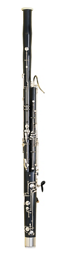 Fox Renard Model 41 Bassoon 