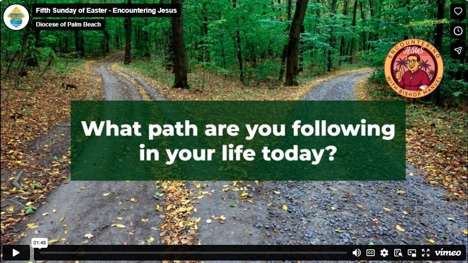 Fifth Sunday of Easter - Encountering Jesus