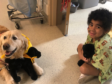Canines-N-Kids’ Project Hearts & Tails Debuts at Boston Children’s Hospital Care Packages Bring Hope to Kids and Dogs with Cancer Nationwide