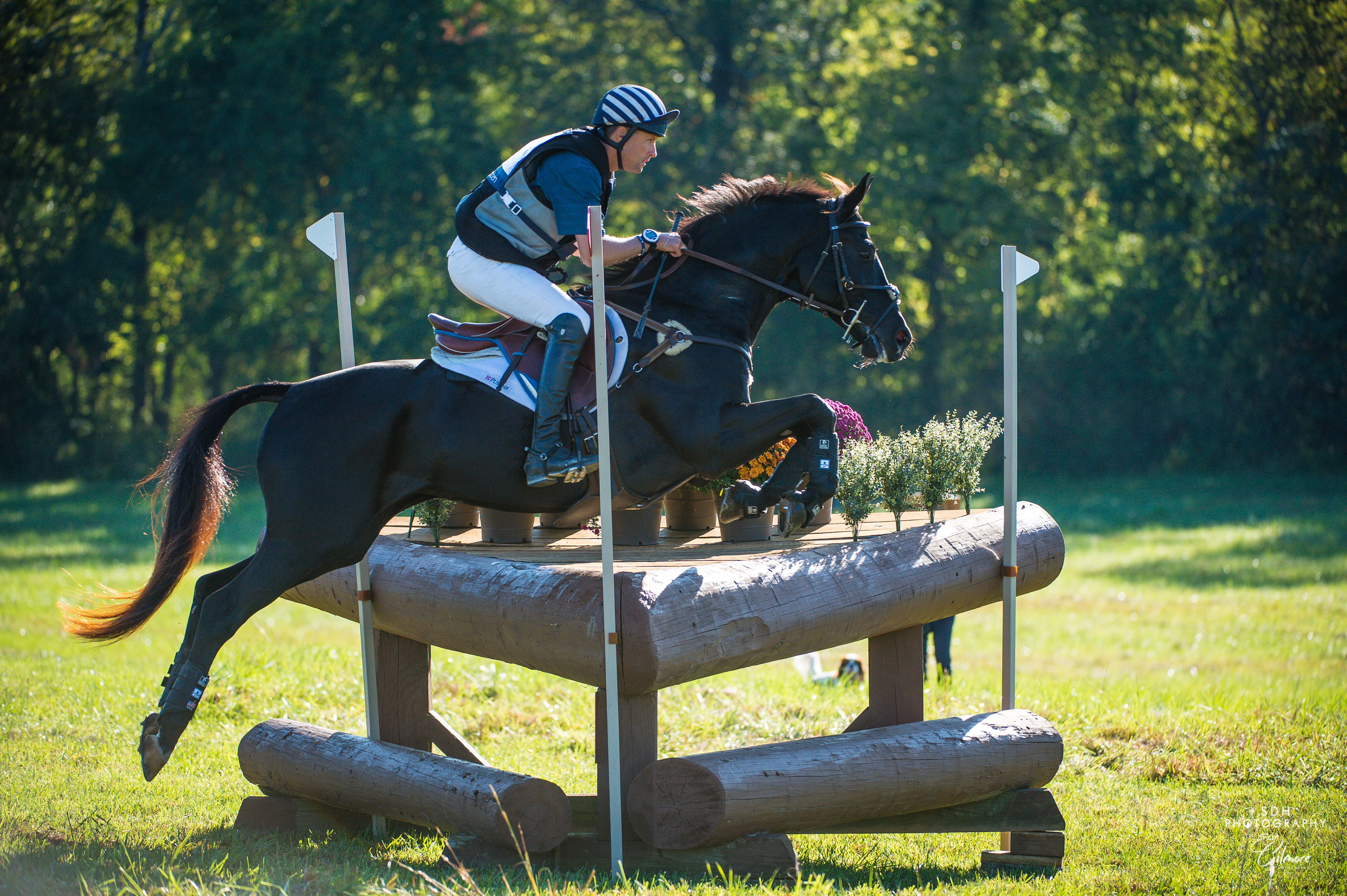 Your $50 donation helps purchase the paint and stain needed to maintain the many cross-country jumps at Morven Park.