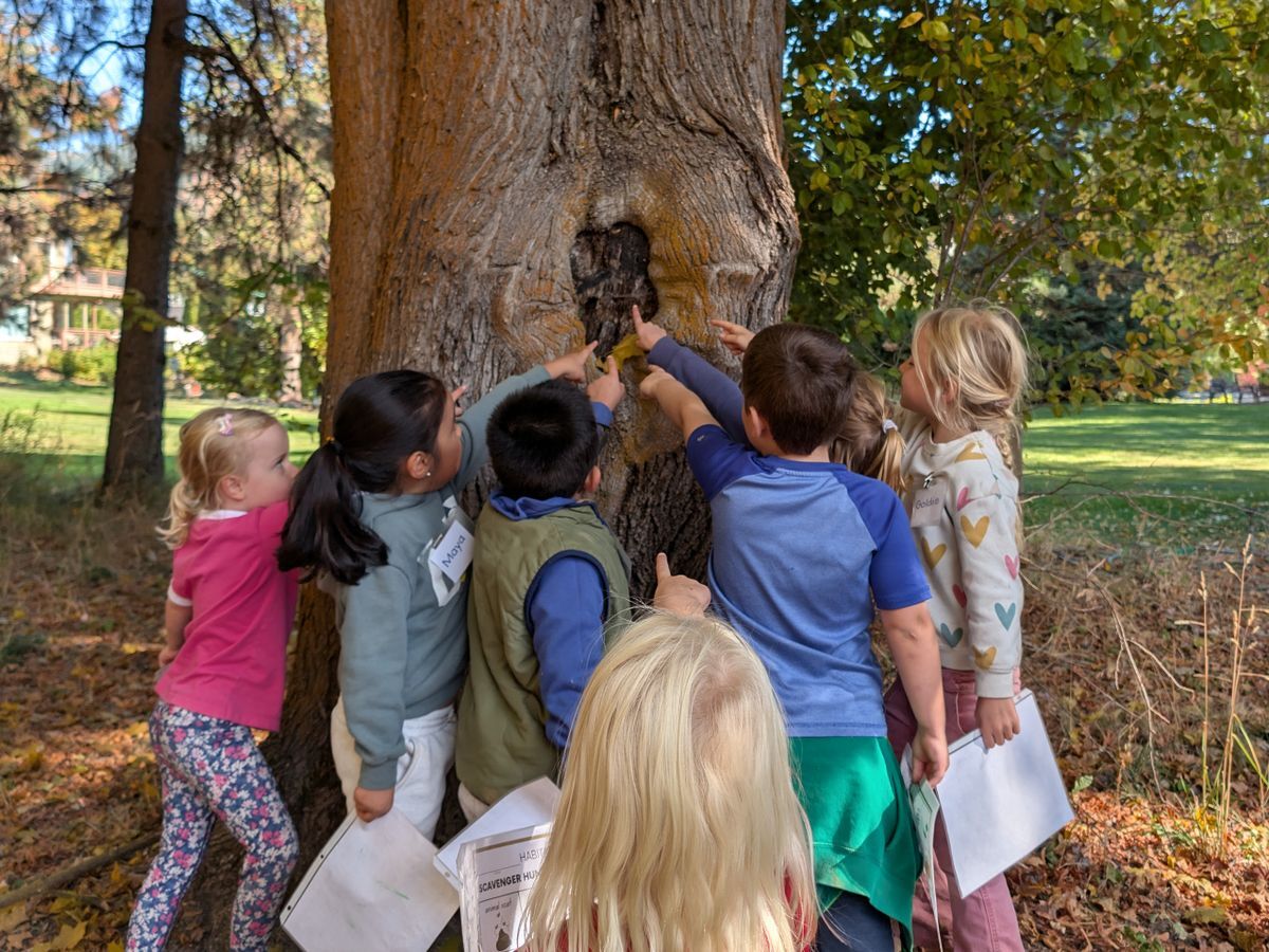 Kids pointing at a knot in a tree during a WRI Field Day.