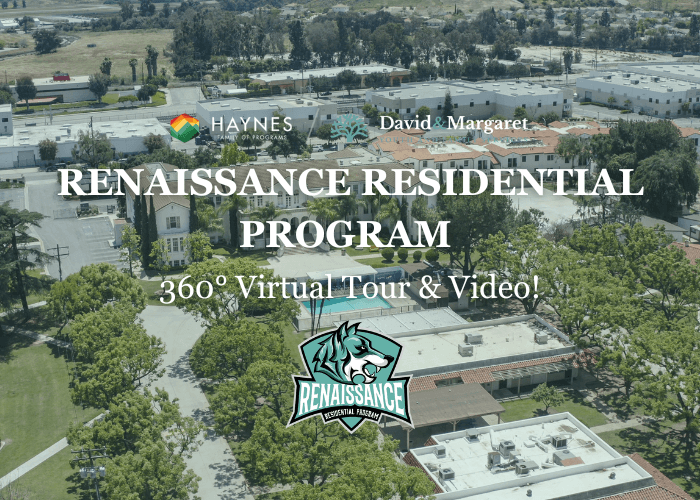 Renaissance Programs