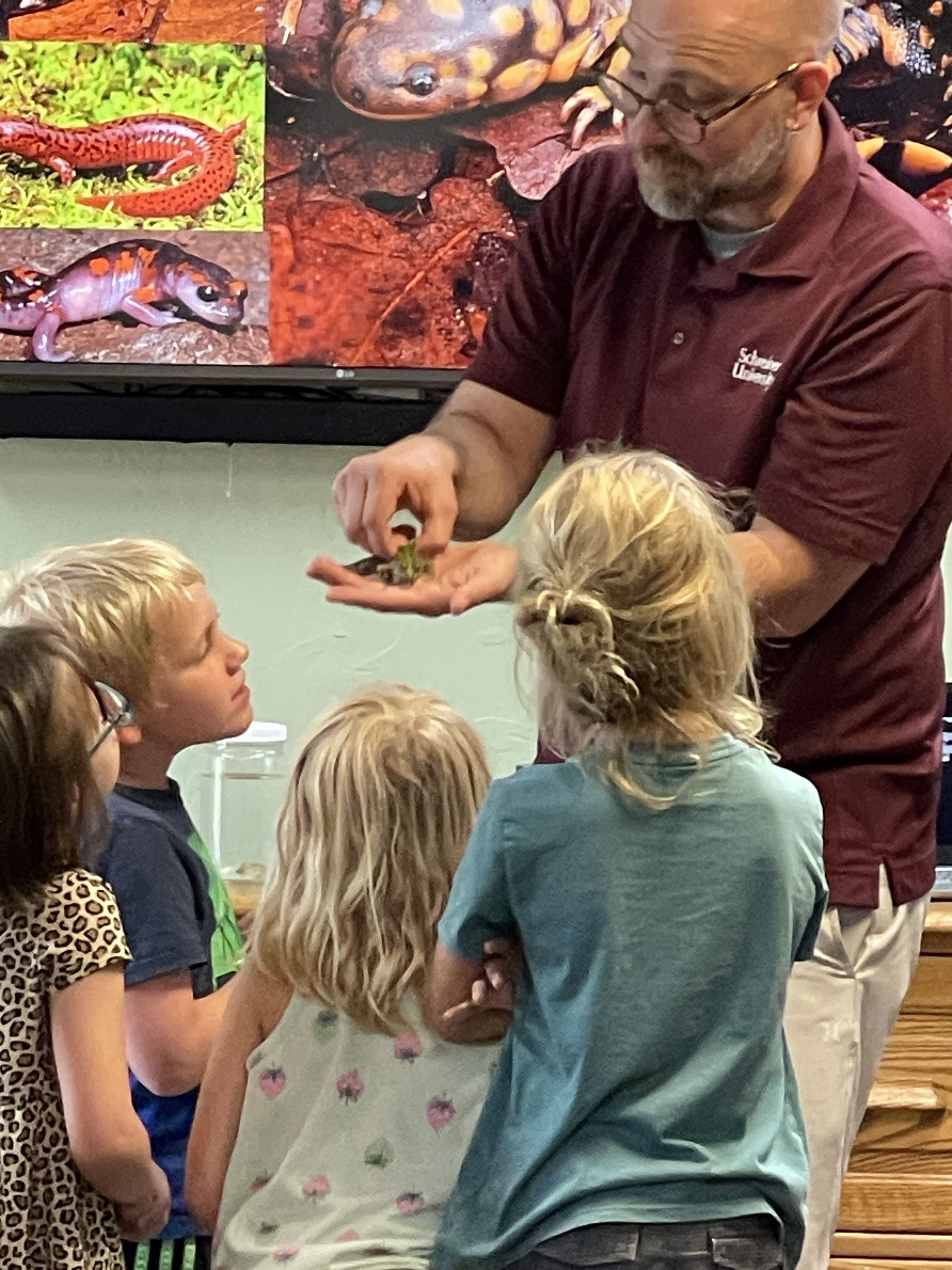 Nature nights, night sky, night nature walk, Riverside Nature Center