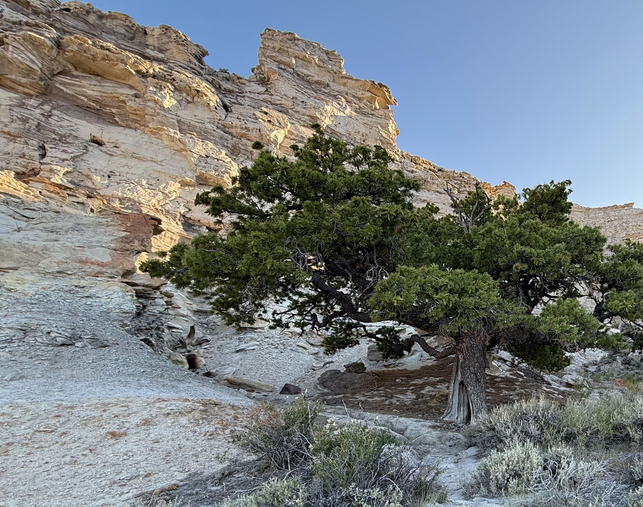 Voters lined up to vote