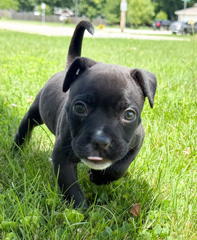 Oakley