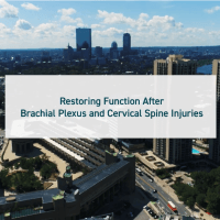  Restoring Function After Brachial Plexus and Cervical Spine Injuries 