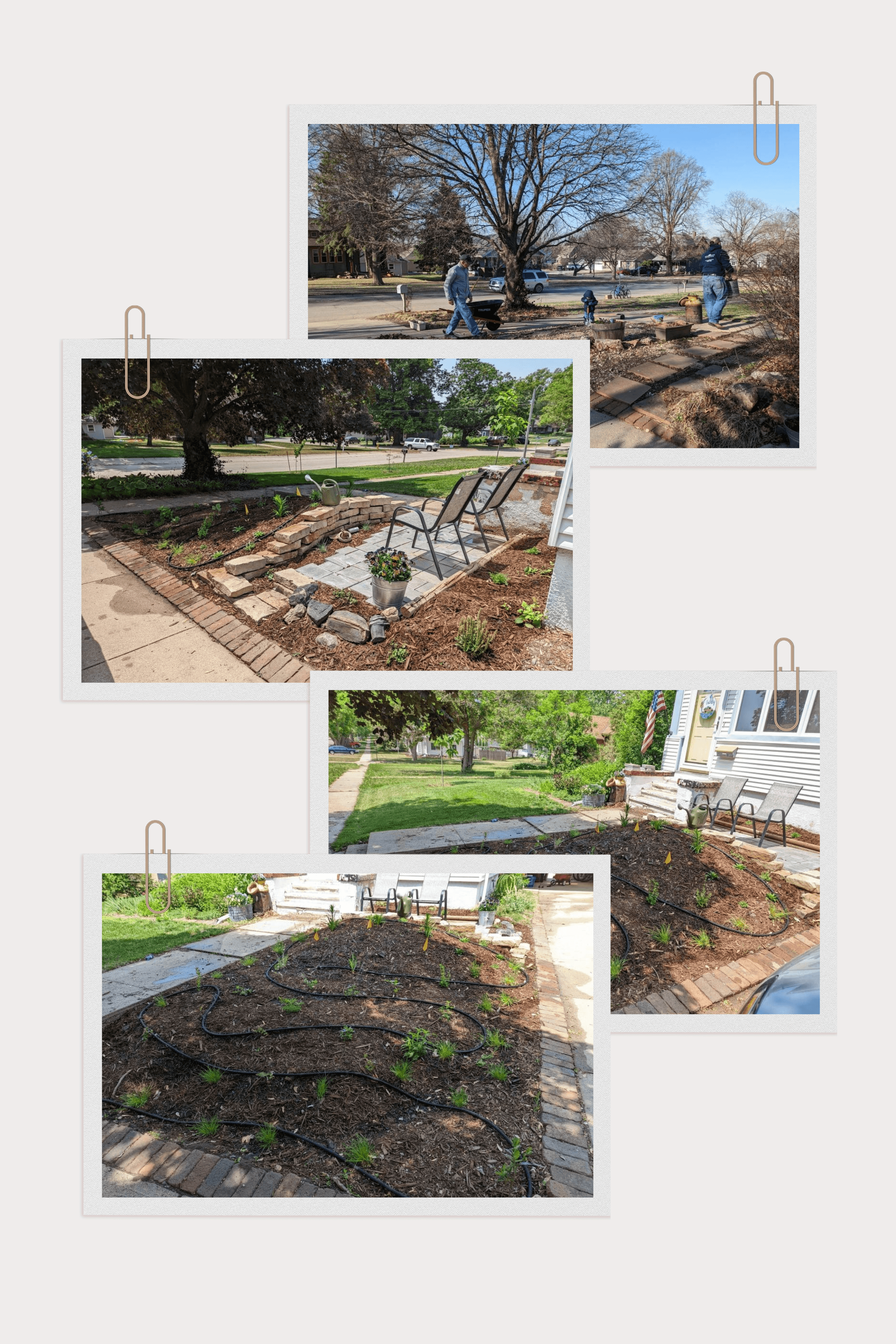 Before and after of Sarah’s infamous rock area + a look at how we use soaker hoses to establish plants