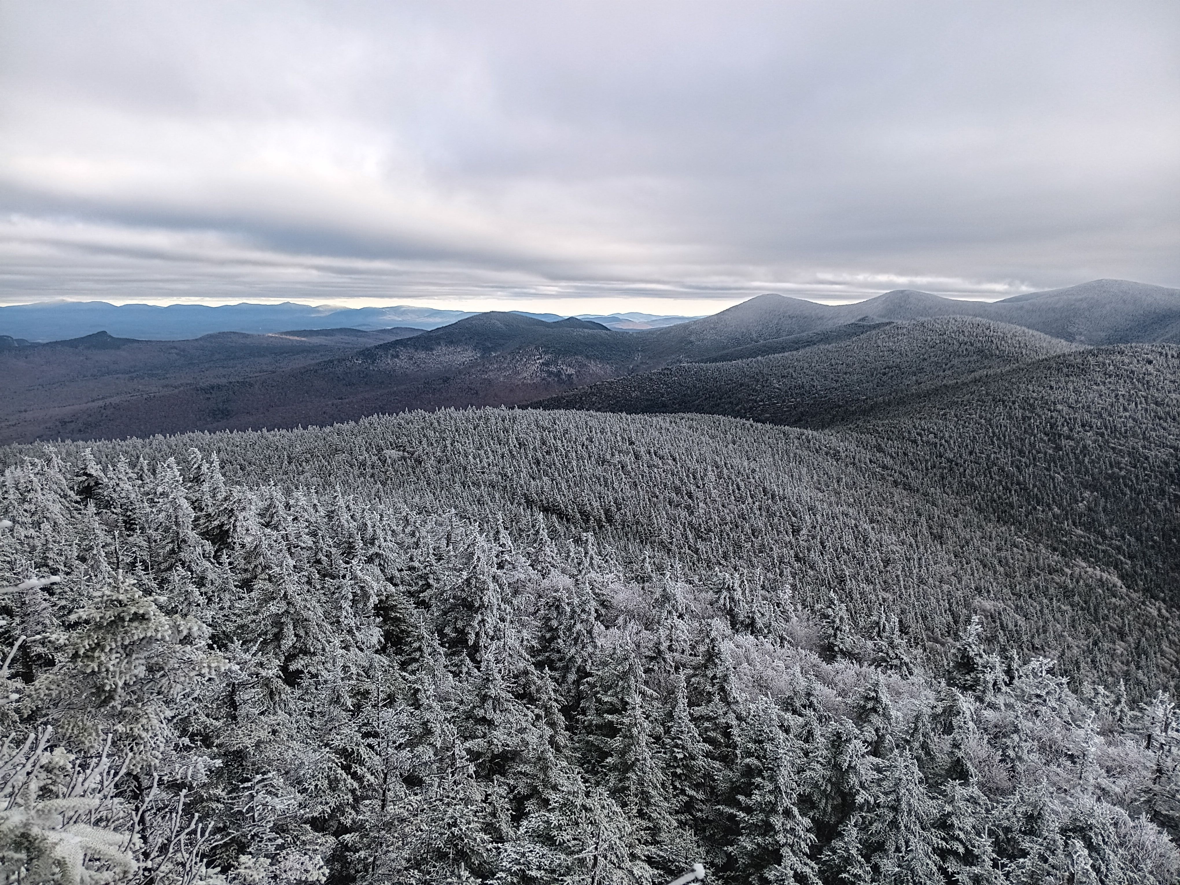 Naturalist Notes November 2025 - A Pilot Perspective