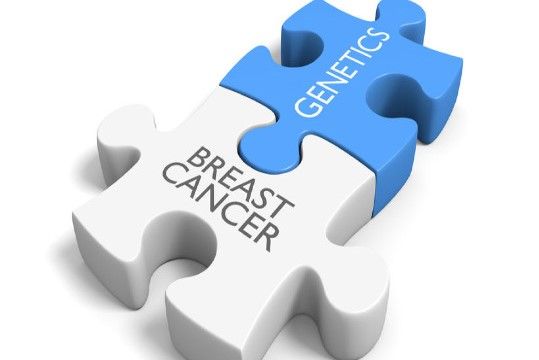 Genetics & Breast Cancer