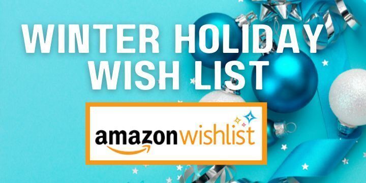 Amazon Holiday Wish List