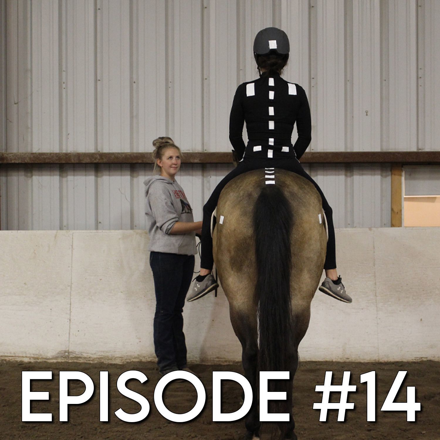 Episode #14 - Shelby Winnail & Edye Godden: Impact of Horse Movement