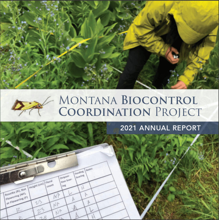 2021 Annual Report