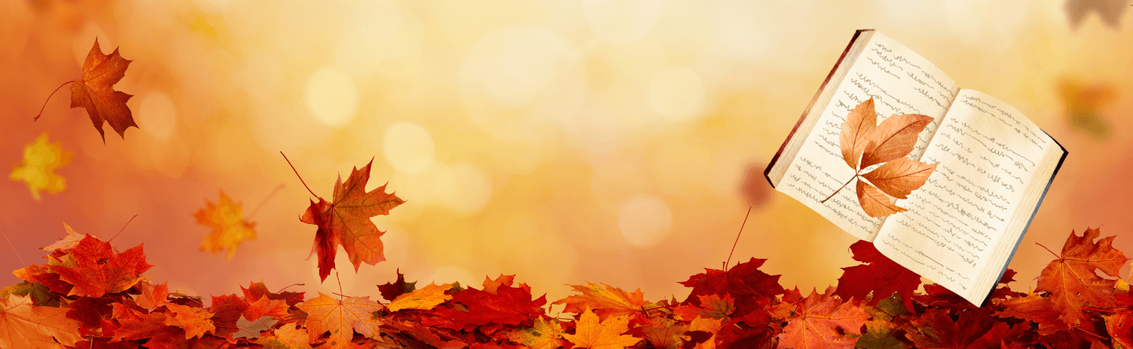 Fall Leaves
