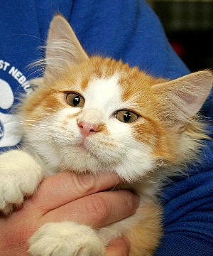 Meet Butch!