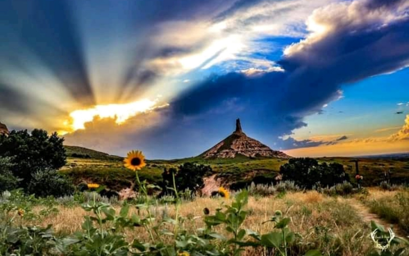 Prairie.