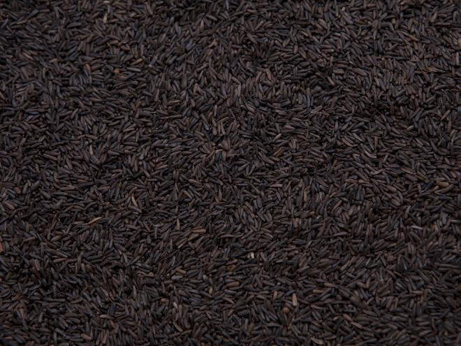 Nyjer Seed (98%), 50lbs